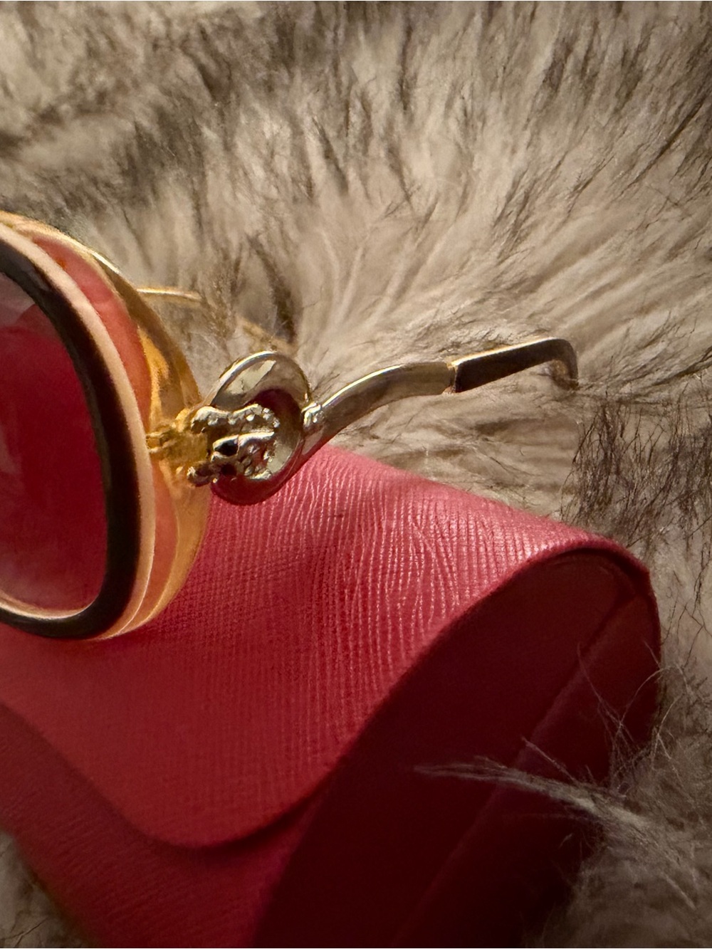 Cartier Women's Sunglasses in Brown with Red Cartier Case - Picture 4 of 7